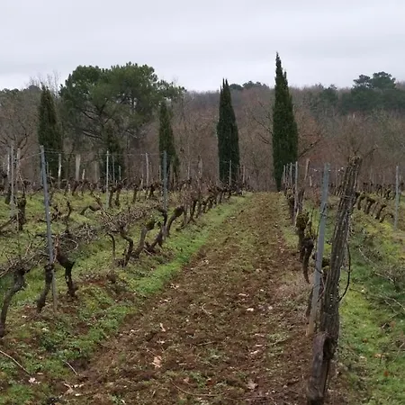 Nocleg ze śniadaniem Chateau De Rouffiac Duravel
