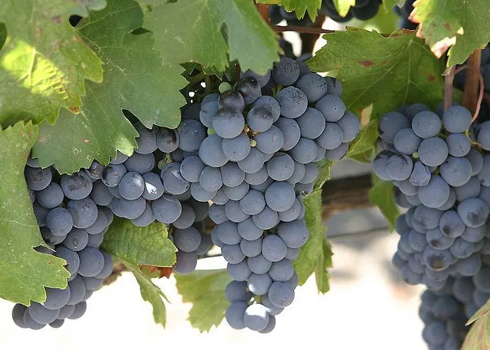 Bed and Breakfast Chateau De Rouffiac