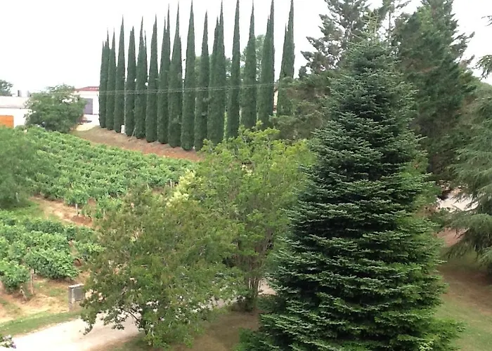 Chateau De Rouffiac Bed and Breakfast Duravel