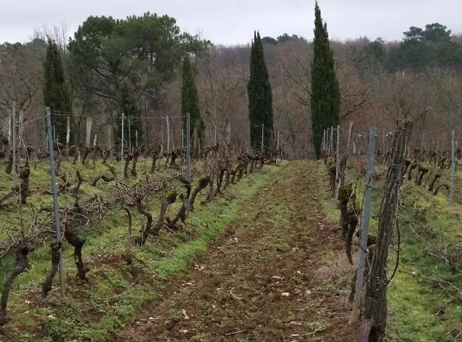 Bed and Breakfast Chateau De Rouffiac Duravel