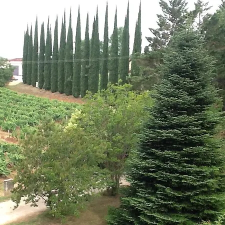 Chateau De Rouffiac Bed & Breakfast Duravel